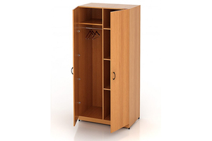 Шкаф для одежды комбинированный ШФ 21